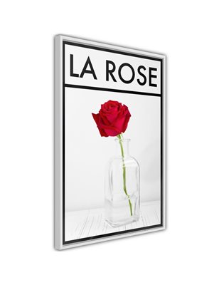 Poster  Rose in the Vase